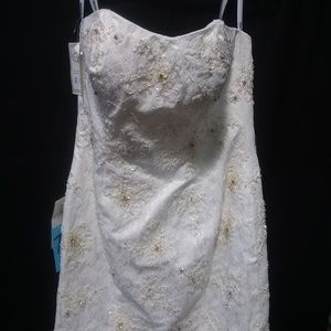 Andy Anand Couture Size 12